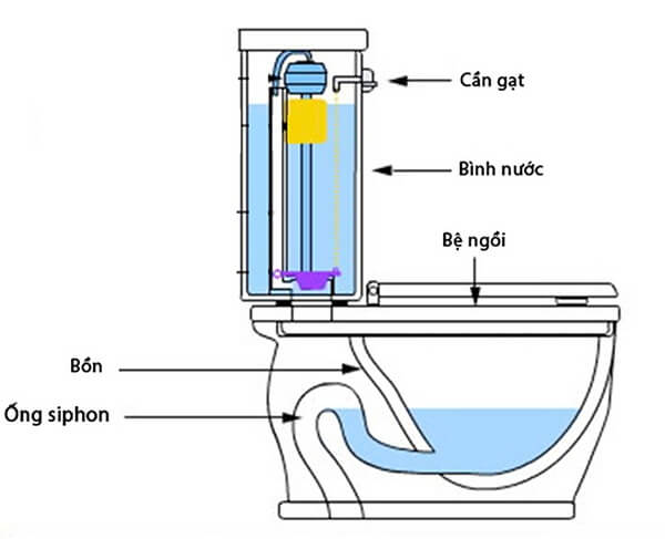 Sơ đồ cấu tạo bồn cầu, gồm bệ ngồi, cần gạt, bình nước và ống siphon.
