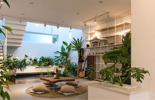 Phòng khách hiện đại với cây xanh tươi tốt, bàn gỗ và kệ sách, tạo không gian thư giãn thoải mái.