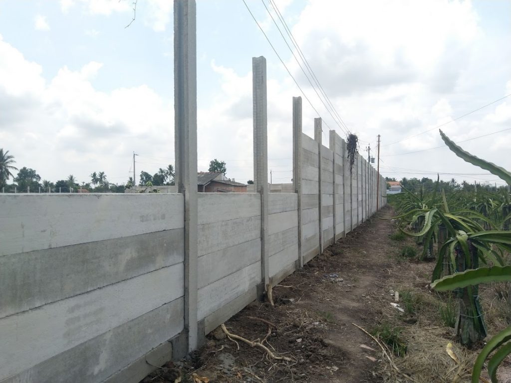 Hàng rào bê tông dài ngăn cách vườn thanh long, bầu trời mây trắng.