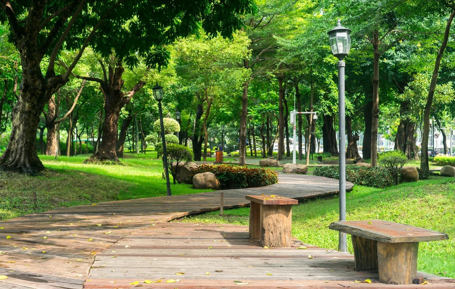 Lối đi bộ bằng gỗ trong công viên xanh với cây cối và ghế dài, tạo không gian thư giãn yên bình.