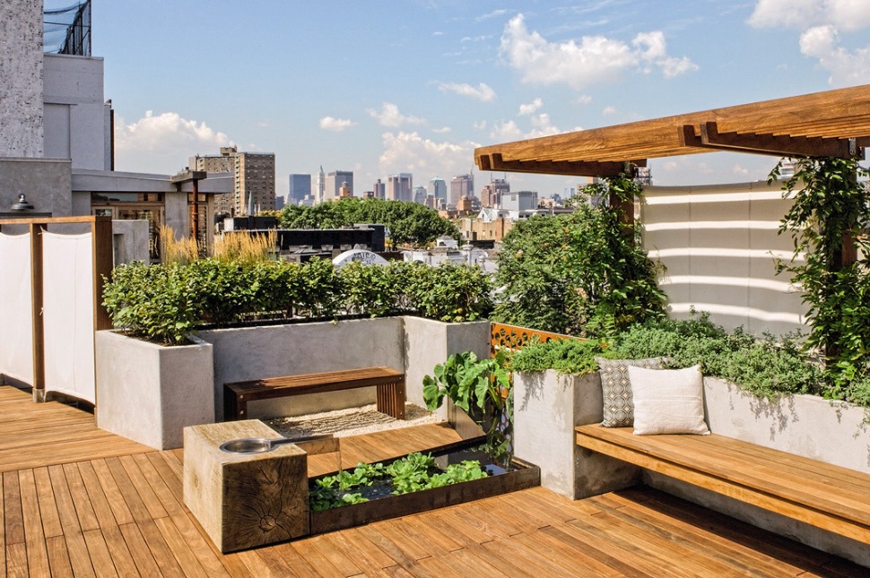 Sân thượng xanh mát với cây xanh và ghế gỗ, nhìn ra cảnh quan đô thị với bầu trời xanh và mây trắng.