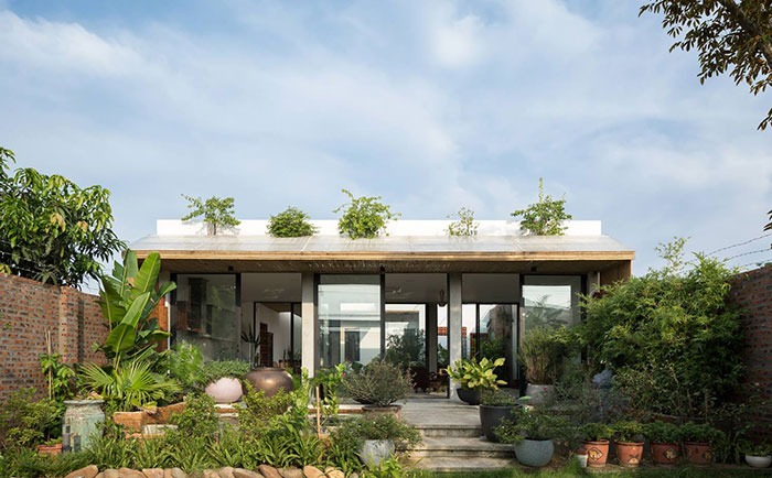 Nhà vườn hiện đại với thiết kế mở, cây xanh xung quanh tạo không gian xanh mát và thoáng đãng.