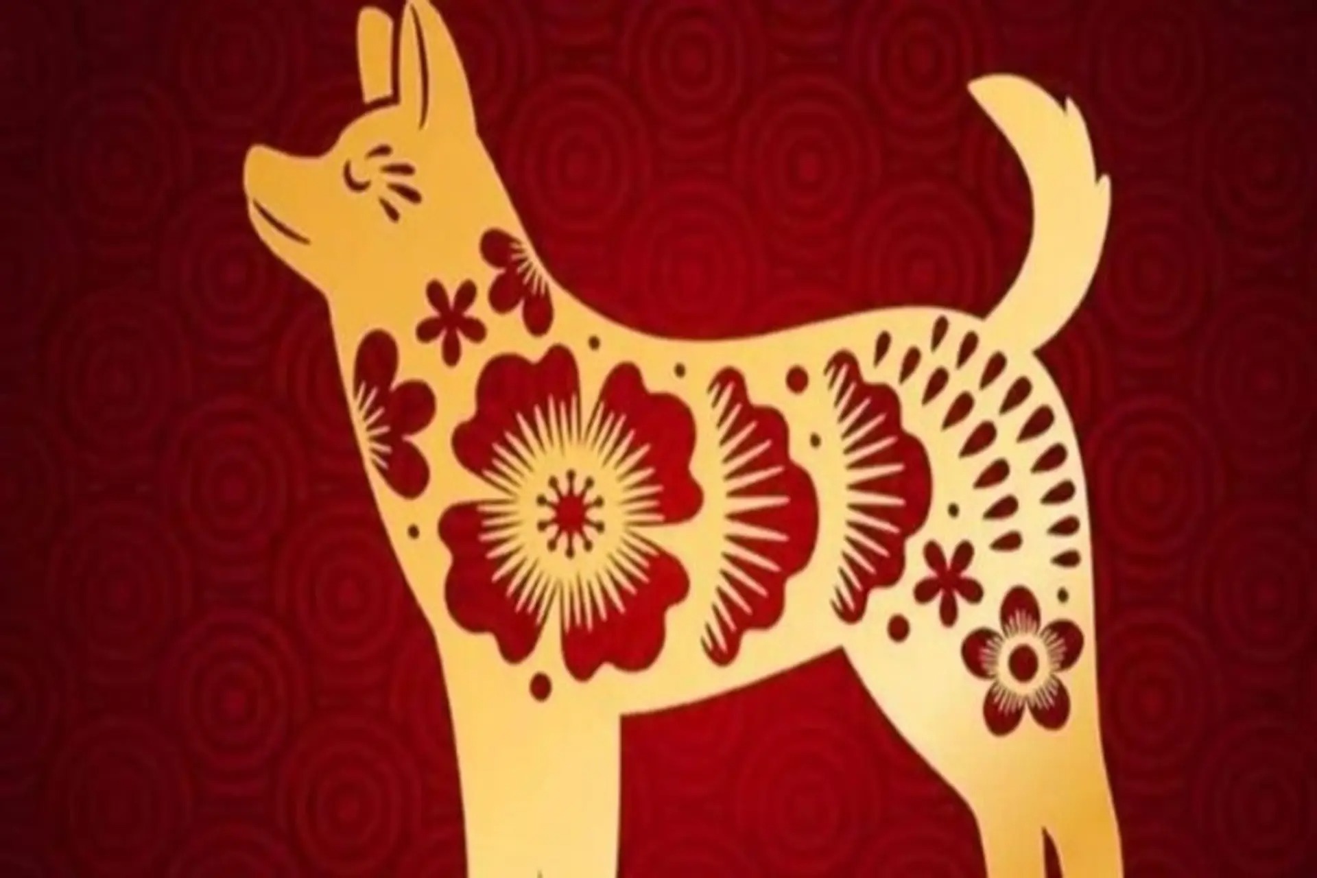 Hình vẽ nghệ thuật chó vàng trên nền đỏ, họa tiết hoa truyền thống.