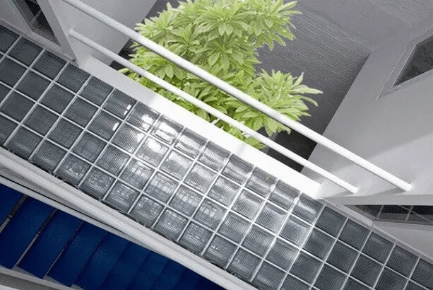 Hành lang lát kính và cây xanh, tạo không gian mở hiện đại và thông thoáng cho ngôi nhà.