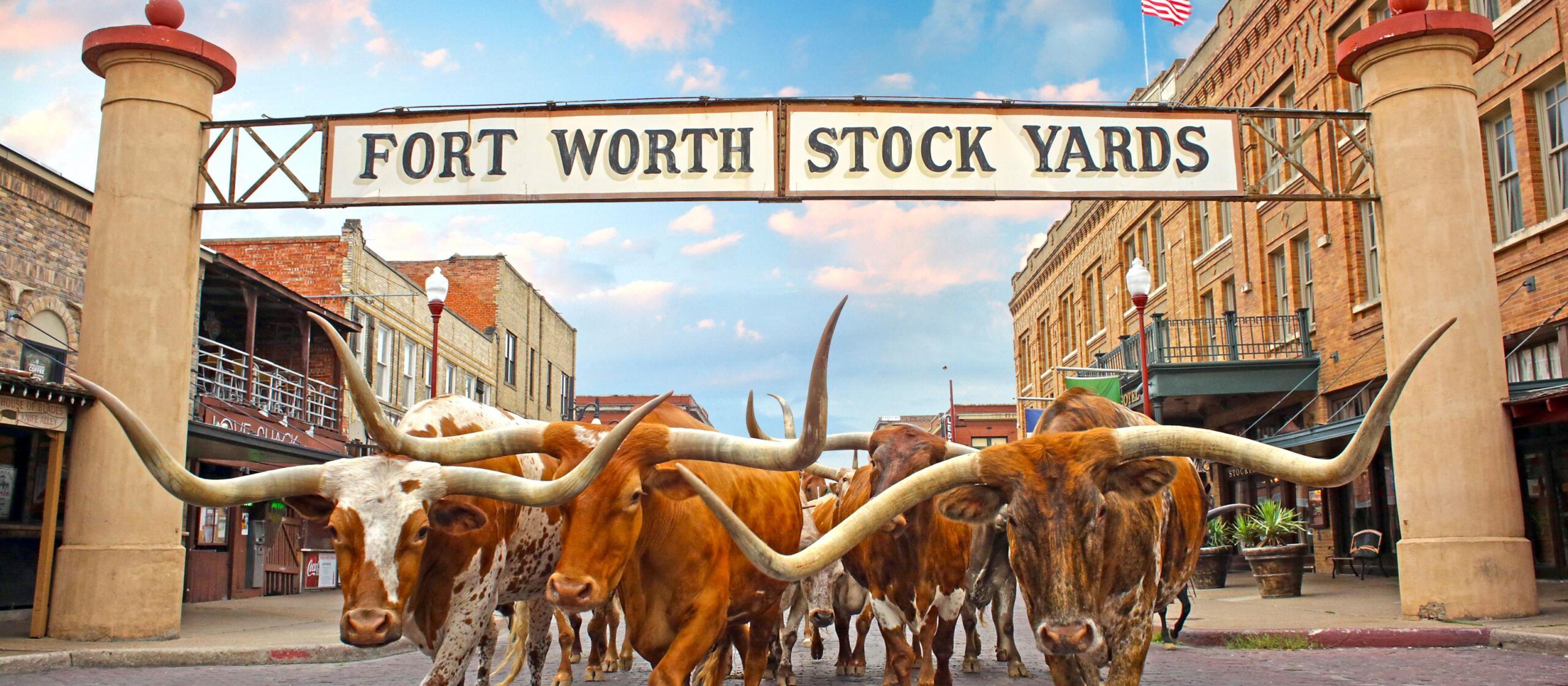 1-hero_herd_stockyards_sign_hdr_web72dpi-scaled-1 Đàn bò Texas Longhorn diễu hành qua cổng Fort Worth Stockyards, Texas, với cảnh quan đô thị cổ kính.