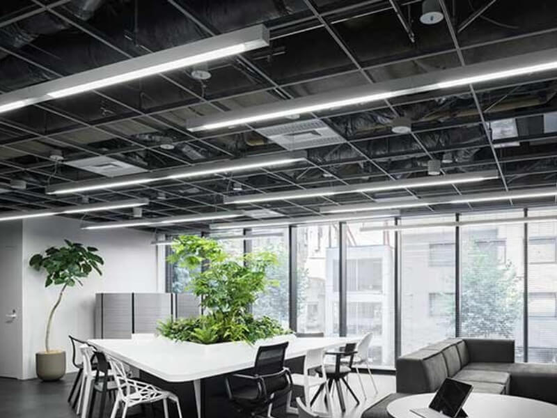 Văn phòng hiện đại với cây xanh, bàn ghế thiết kế và cửa sổ lớn cho ánh sáng tự nhiên.