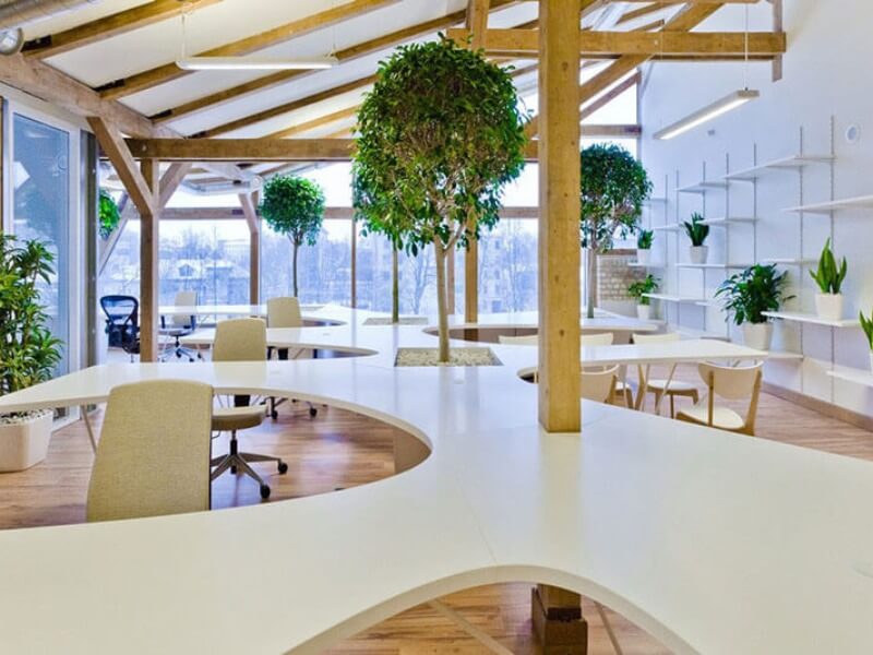 Không gian văn phòng sáng tạo với nội thất gỗ và cây xanh, tạo cảm giác thoải mái và tươi mới.