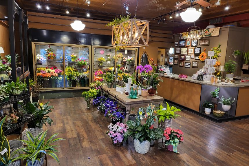 Cửa hàng hoa tươi bày trí cây xanh và hoa đa dạng, ánh đèn vàng tạo không gian ấm áp và hấp dẫn.