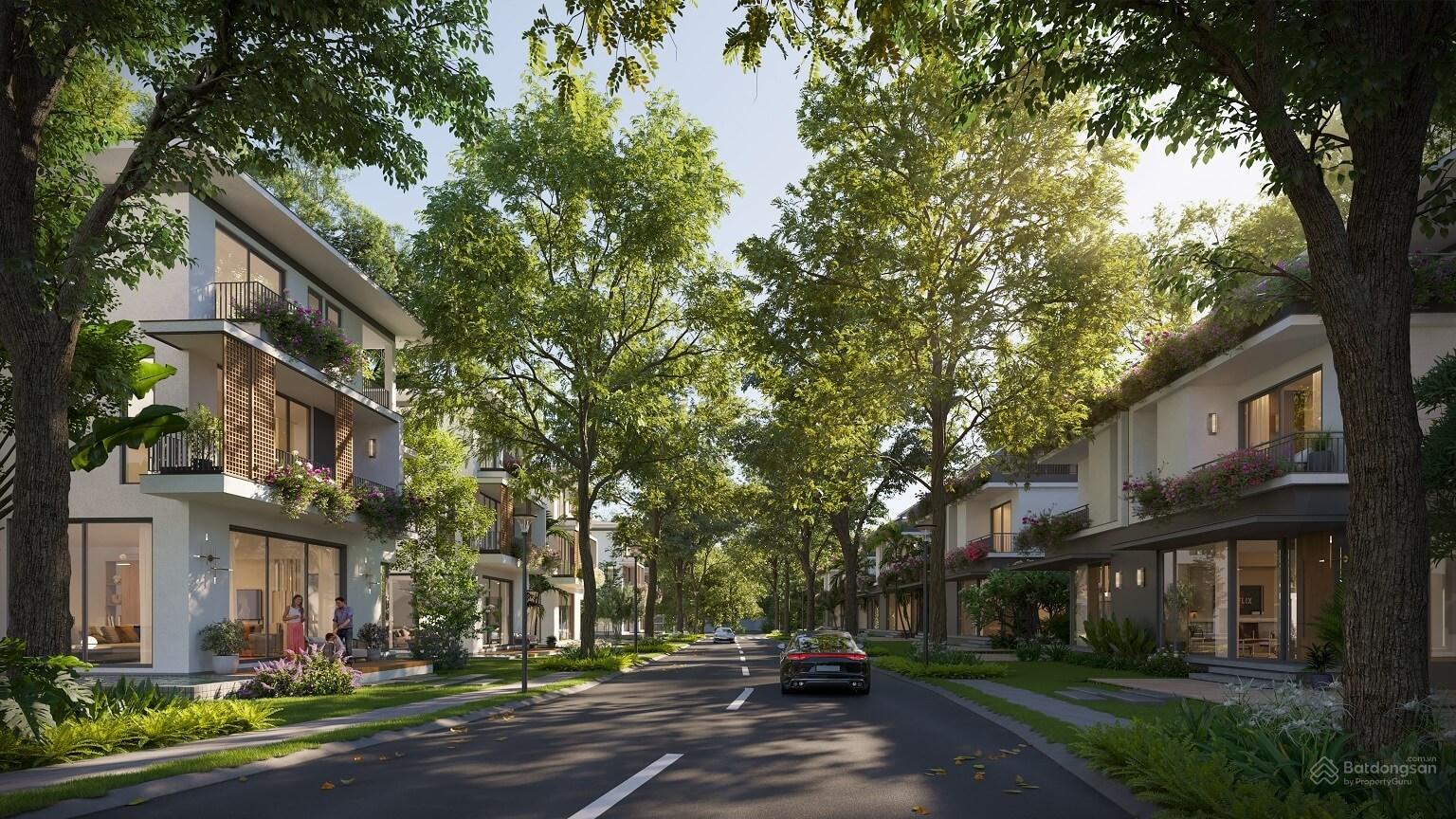 20241025114024-36f8_wm Con đường rợp bóng cây xanh, bên cạnh là dãy nhà hiện đại và ô tô trên đường.