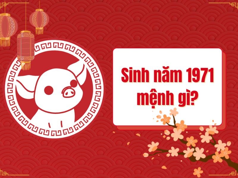 Hình ảnh đỏ năm Tân Hợi 1971, hỏi sinh năm 1971 mệnh gì, trang trí đèn lồng và hoa mai.