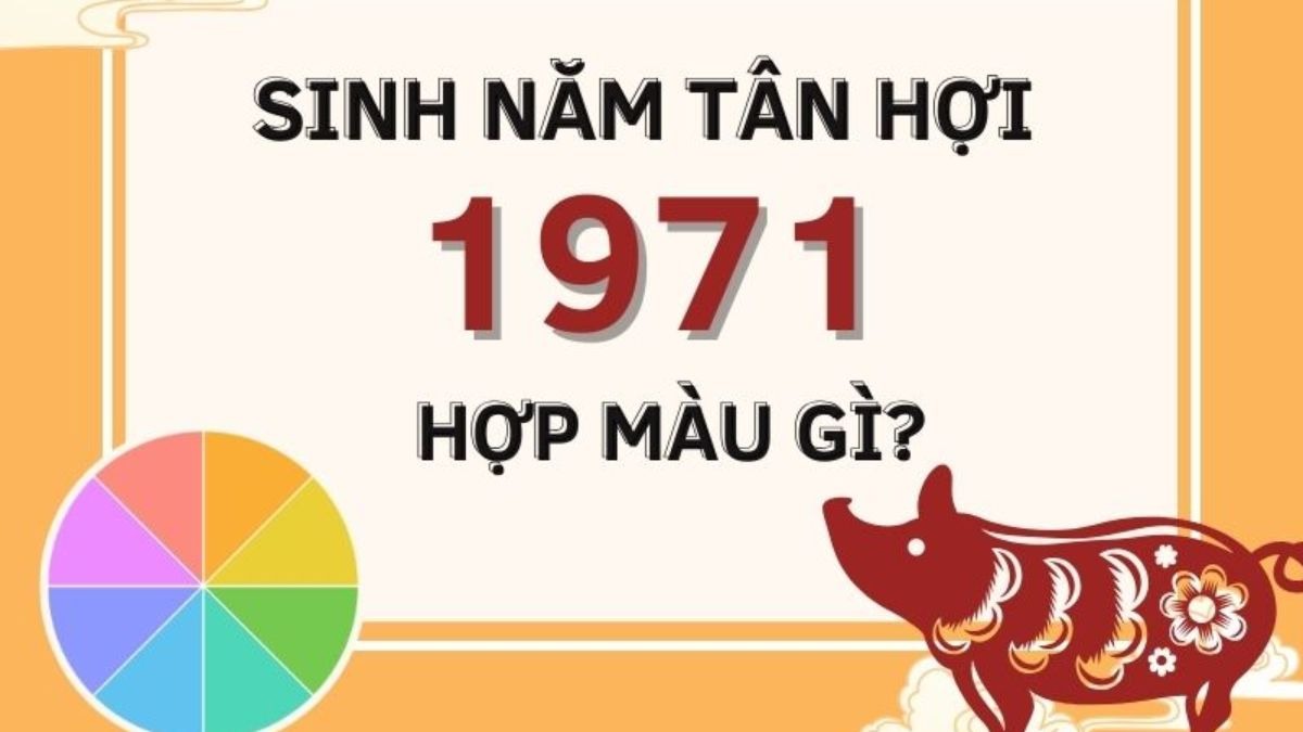 Sinh năm 1971 Tân Hợi hợp màu gì? Hình tròn màu sắc và hình ảnh con heo trang trí.