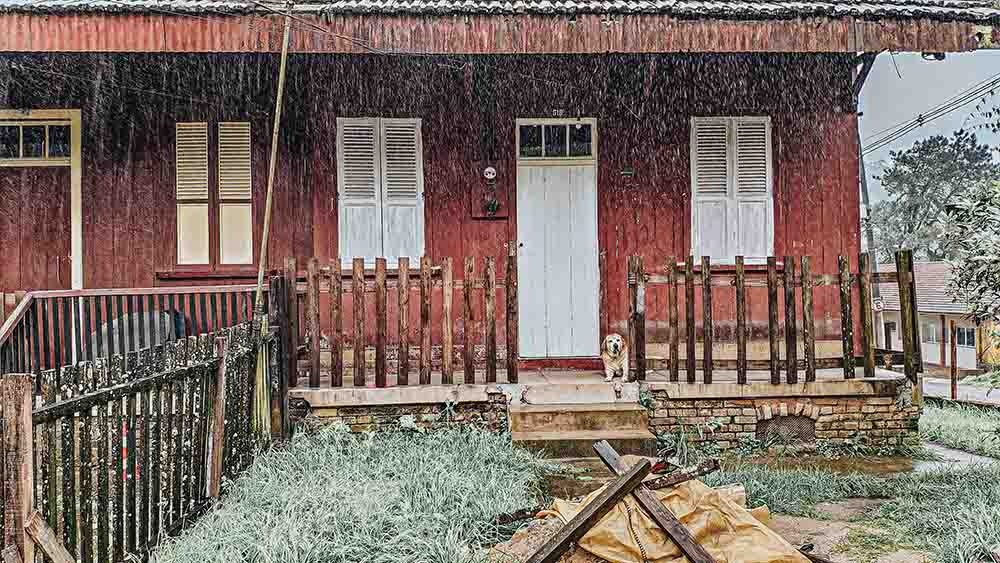 Nhà gỗ đỏ với hàng rào gỗ, chó ngồi trước cửa, bên ngoài trời mưa.