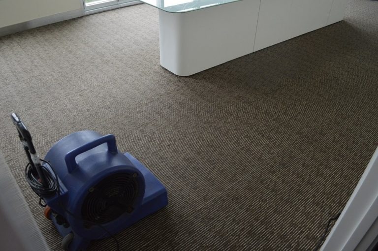 Quạt làm khô thảm trong văn phòng hiện đại với sàn trải thảm màu nâu.