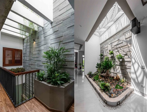 Không gian nội thất mở với vườn cây xanh, tạo cảm giác thoáng đãng và thư giãn cho ngôi nhà.