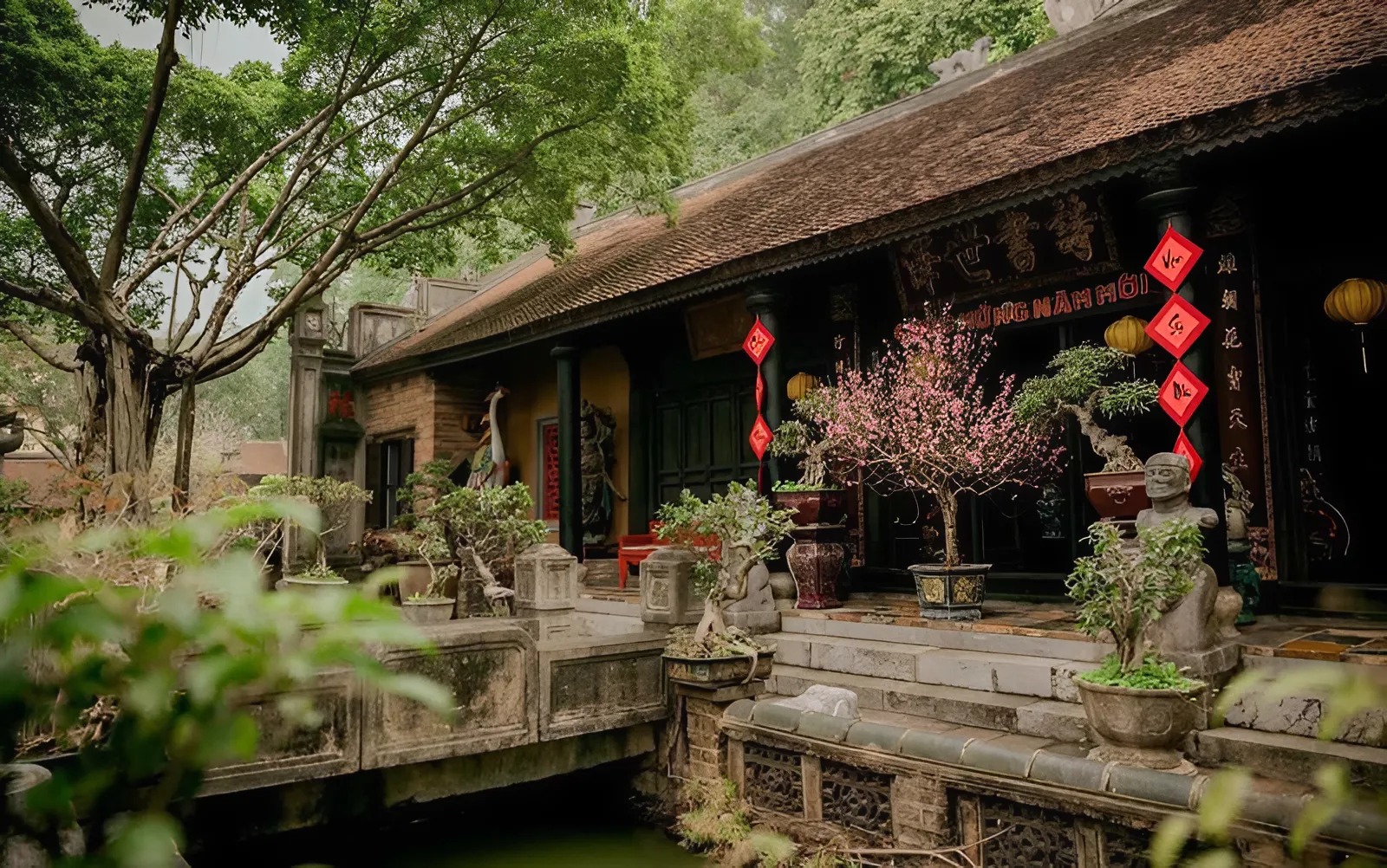 betterimage-ai_1743145979039