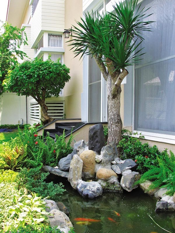 Vườn tiểu cảnh với ao cá và cây xanh bên cạnh ngôi nhà hiện đại, tạo cảnh quan thư giãn và hài hòa.