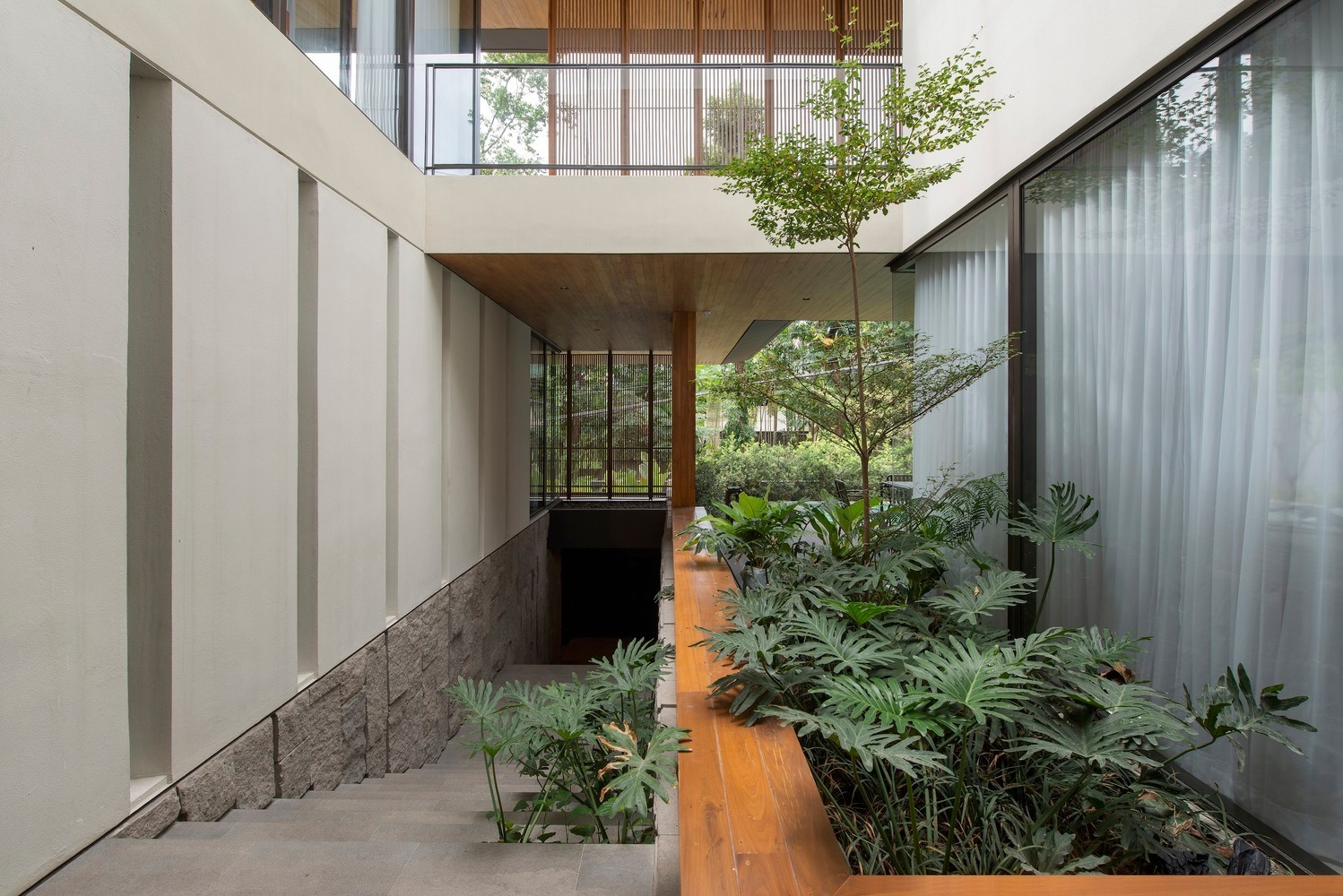 Lối đi hiện đại với cây xanh và cầu thang, ngôi nhà ánh sáng tự nhiên tối ưu, không gian mở thoáng đãng.