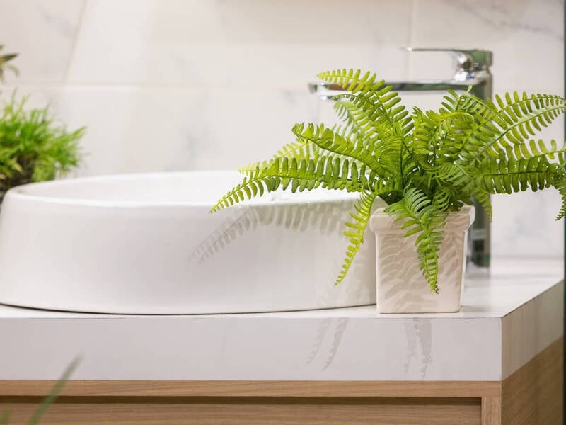 Chậu cây xanh bên cạnh bồn rửa mặt trắng trong phòng tắm hiện đại, trang nhã.