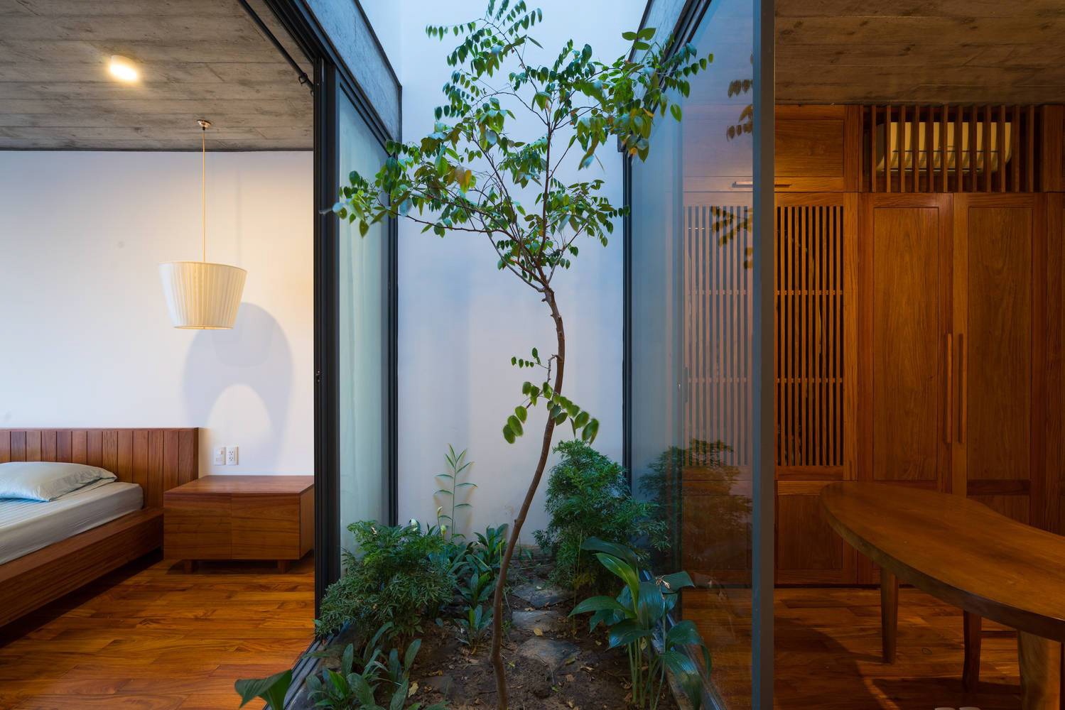 Phòng ngủ với cây lớn trong góc, nội thất gỗ sang trọng, không gian hiện đại.