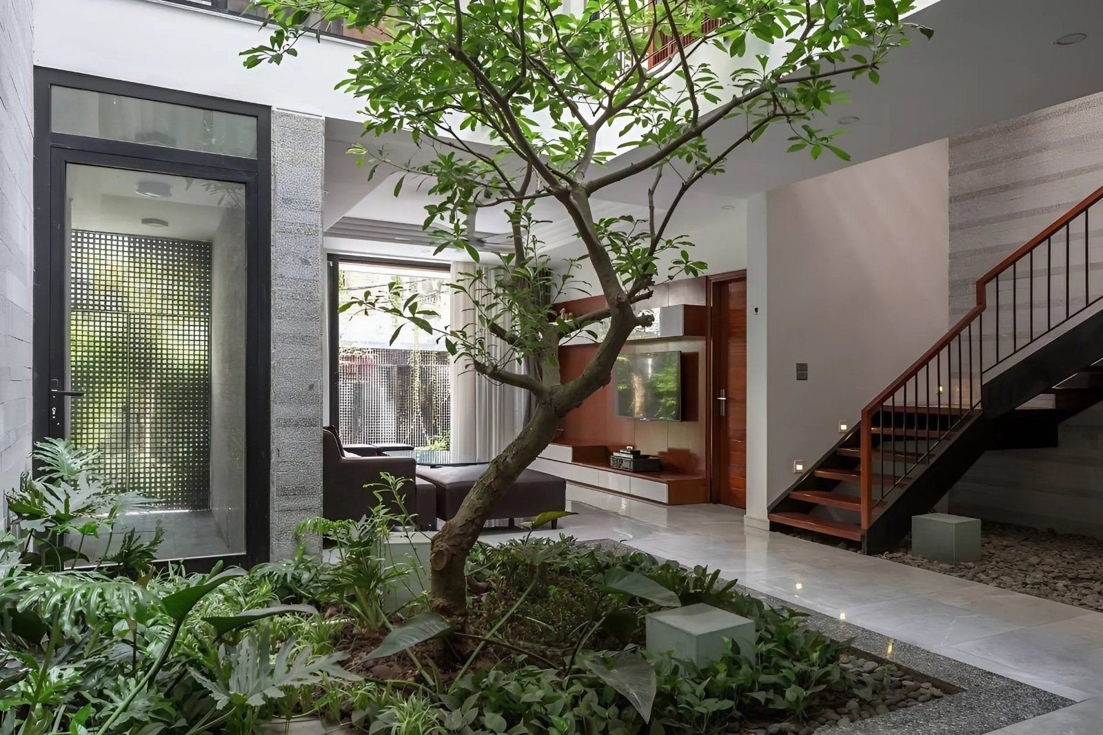 Sân vườn trong nhà hiện đại với cây xanh và cầu thang gỗ, không gian thoáng đãng, ánh sáng tự nhiên.