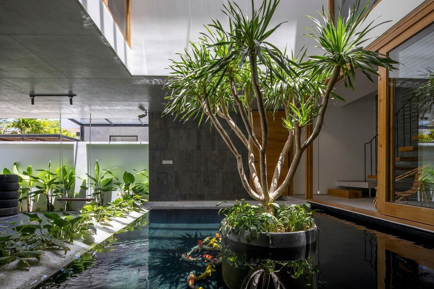 Cây xanh trong hồ cá koi tại một không gian nội thất hiện đại, ánh sáng tự nhiên chiếu qua cửa kính.