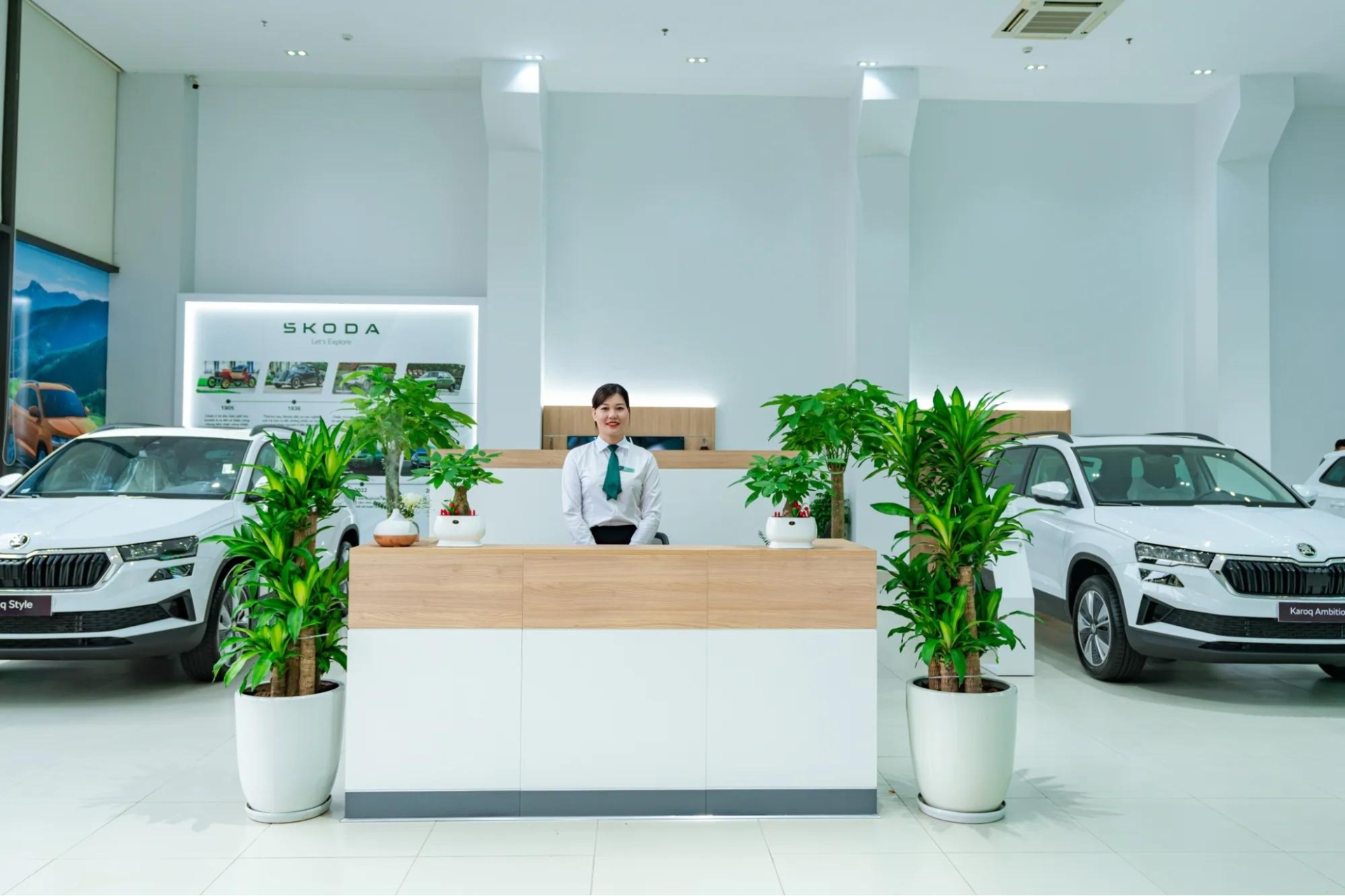 Cây xanh bố trí hài hòa tạo điểm nhấn cho showroom