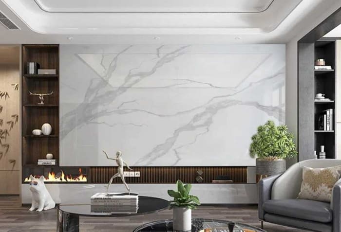 Phòng khách hiện đại với lò sưởi, tường đá cẩm thạch, ghế sofa, và trang trí cây xanh.