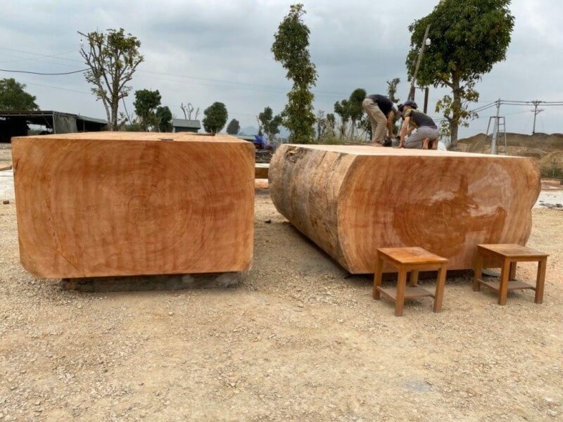 dac-diem-noi-bat-cua-go-lat-nam-phi-2 Hai khối gỗ lớn trên nền đất với một người đàn ông đang làm việc bên trên, bên cạnh là ba ghế gỗ.