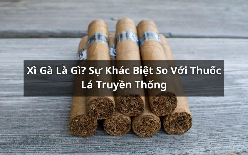 Điểm nổi bật của xì gà so với thuốc lá truyền thống