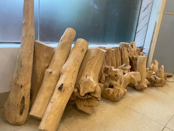 Các khúc gỗ lũa tự nhiên được sắp xếp trên sàn gạch, ánh sáng chiếu từ cửa sổ bên cạnh.