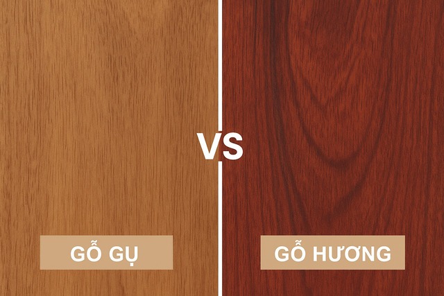 So sánh màu sắc và vân gỗ giữa gỗ gụ và gỗ hương, phông nền chia đôi thể hiện sự khác biệt rõ rệt.
