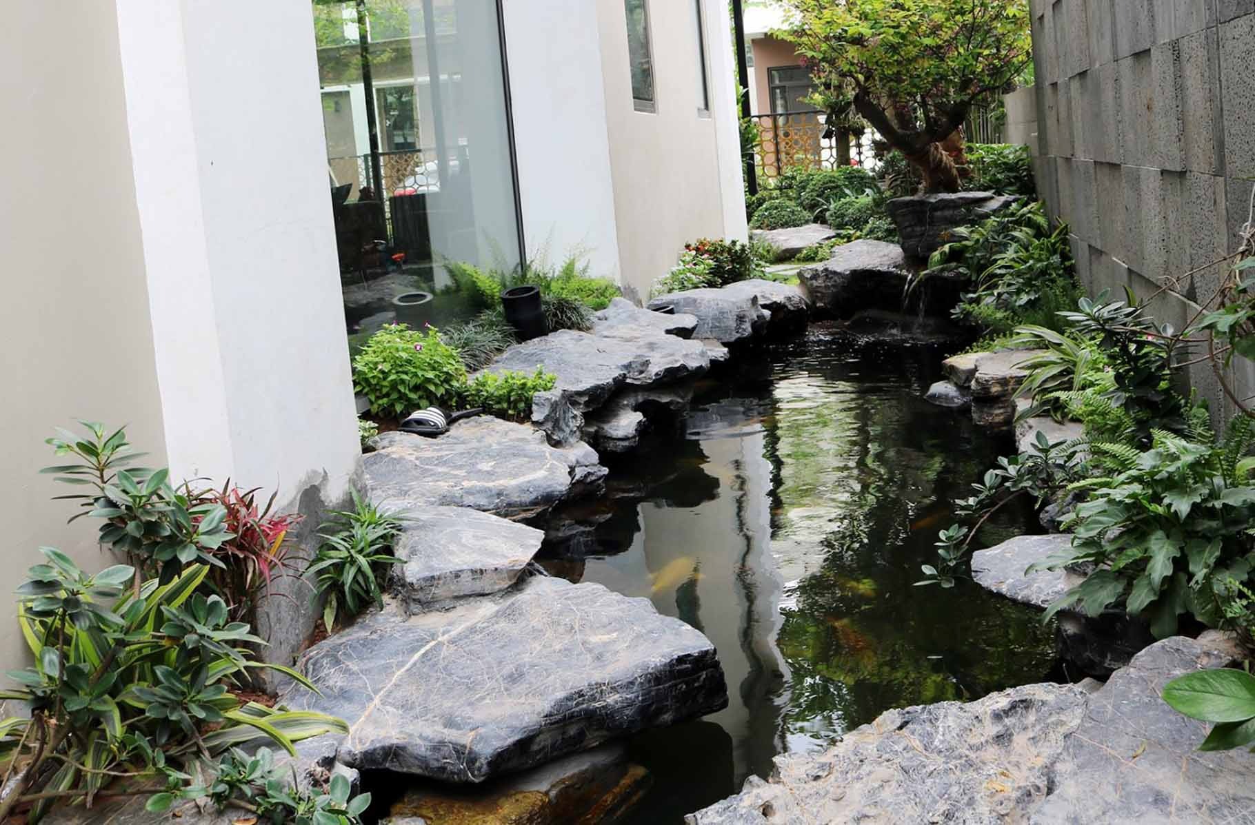 ho-ca-koi-ben-hong-nha-8