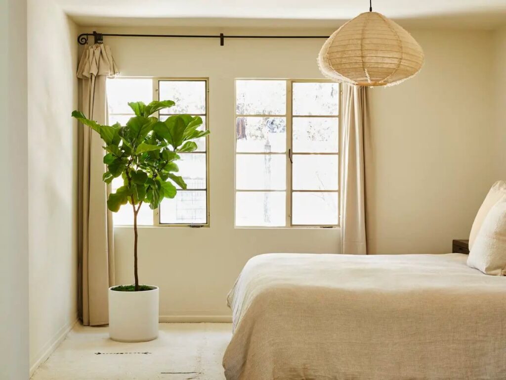 Phòng ngủ tối giản với cây xanh trong chậu, giường lớn và đèn trang trí, tạo không gian thư giãn và thoáng đãng.