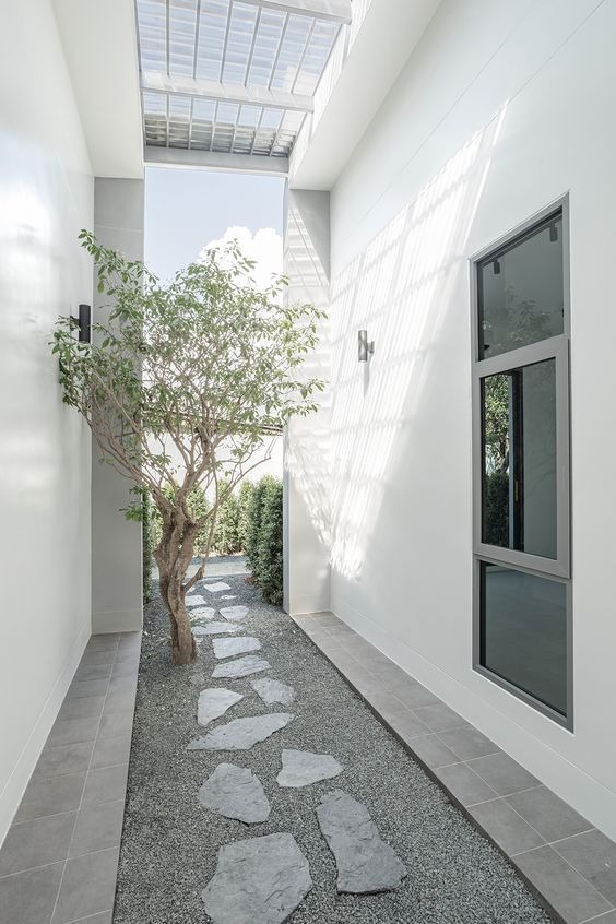 khu-vuon-zen-nhat-ban-3 Lối đi lát đá nhỏ dưới tán cây, ánh sáng tự nhiên trong khoảng sân hẹp giữa hai bức tường trắng.