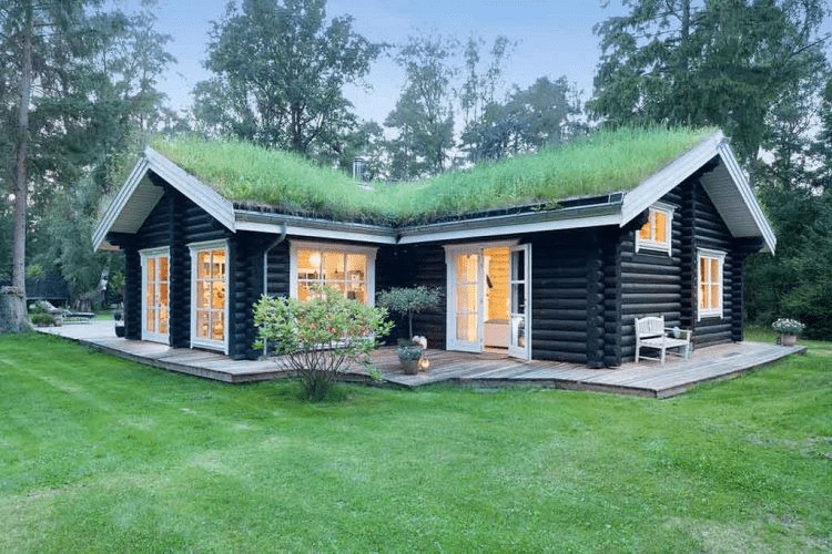 Nhà gỗ hiện đại giữa rừng xanh với mái cỏ độc đáo, khung cảnh yên bình và gần gũi thiên nhiên.