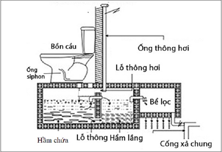 Sơ đồ cấu tạo bể phốt cơ bản với bồn cầu, ống siphon, ống thông hơi và bể lọc nước thải.