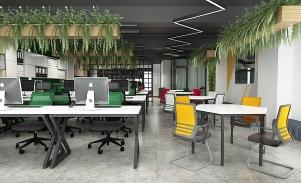 Văn phòng hiện đại với nội thất sắc màu xanh lá và vàng, cây xanh treo tạo không gian làm việc thoáng đãng.