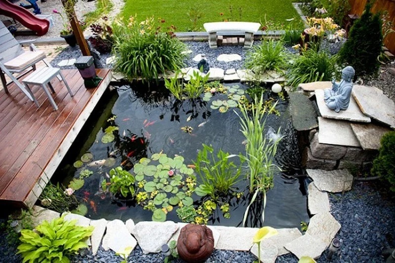 Hồ cá ngoài trời với cây thủy sinh và tượng Phật tạo điểm nhấn trong khu vườn thanh tịnh.