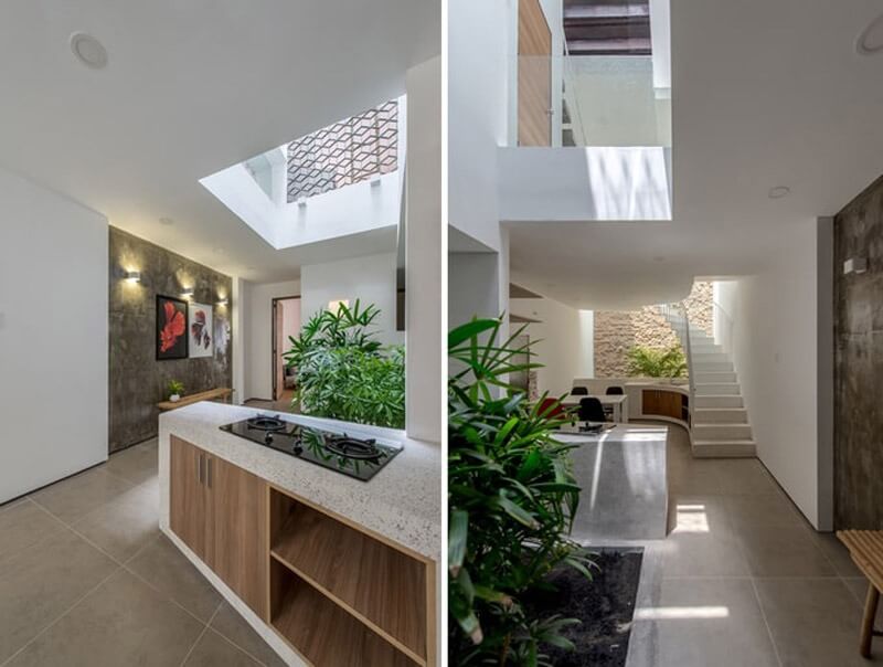 Nội thất nhà hiện đại với thiết kế tối giản, cây xanh, ánh sáng tự nhiên qua giếng trời tạo không gian thoáng đãng.