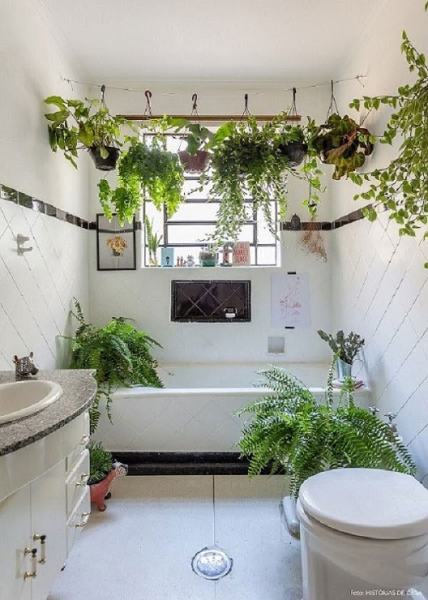 Phòng tắm với cây xanh treo và đặt quanh bồn tắm, tạo không gian tươi mát và thư giãn.