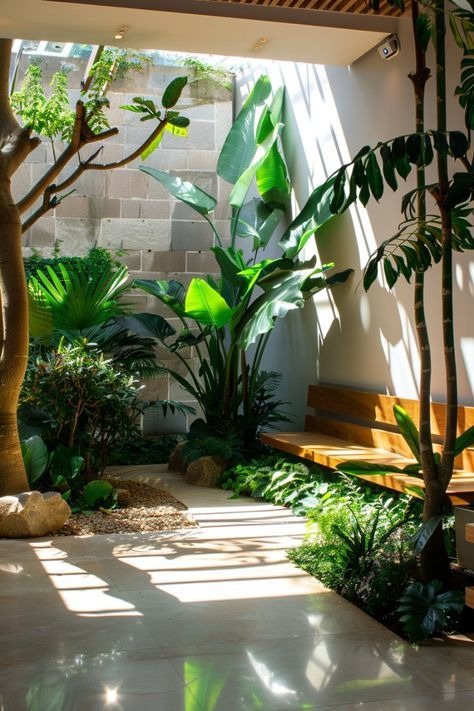 Góc sân vườn trong nhà với cây xanh lớn, ánh sáng tự nhiên chiếu sáng, tạo không gian thư giãn và gần gũi thiên nhiên.