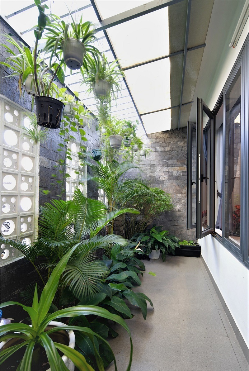 Ban công với cây xanh trong nhà, ánh sáng tự nhiên, không gian thư giãn.