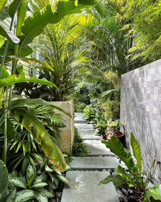 Lối đi sân vườn xanh mát với cây cối tươi tốt hai bên tạo cảm giác thư giãn và gần gũi thiên nhiên.