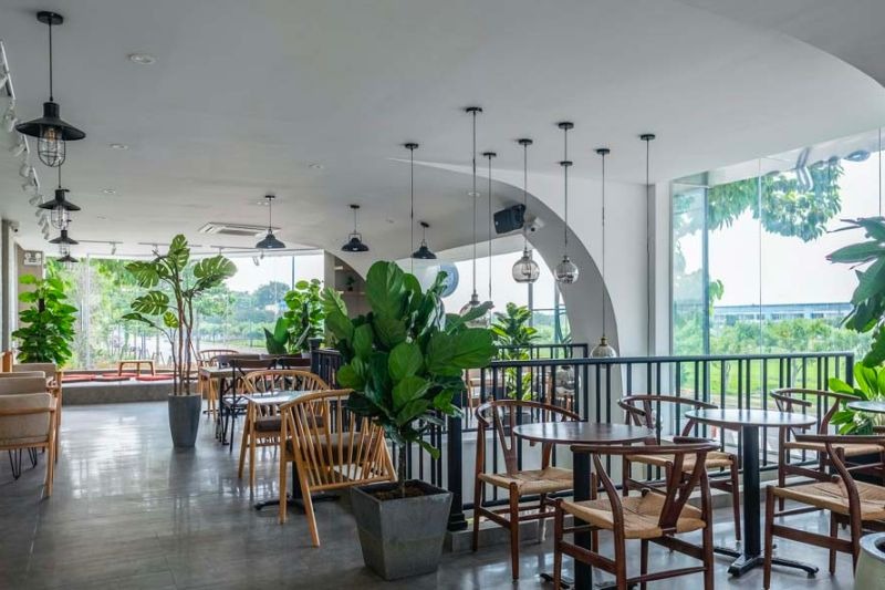 Quán cà phê với thiết kế hiện đại, ánh sáng tự nhiên và cây xanh trong không gian rộng mở.
