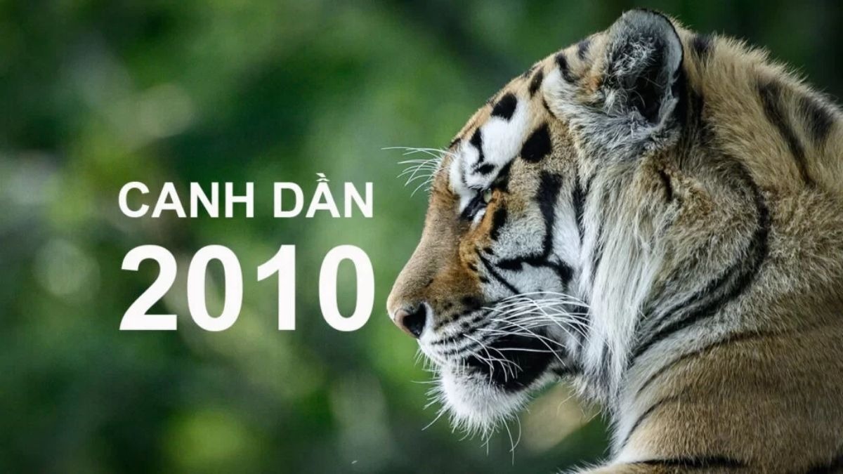 Hổ vằn bên cạnh chữ Canh Dần 2010, nền xanh lá.