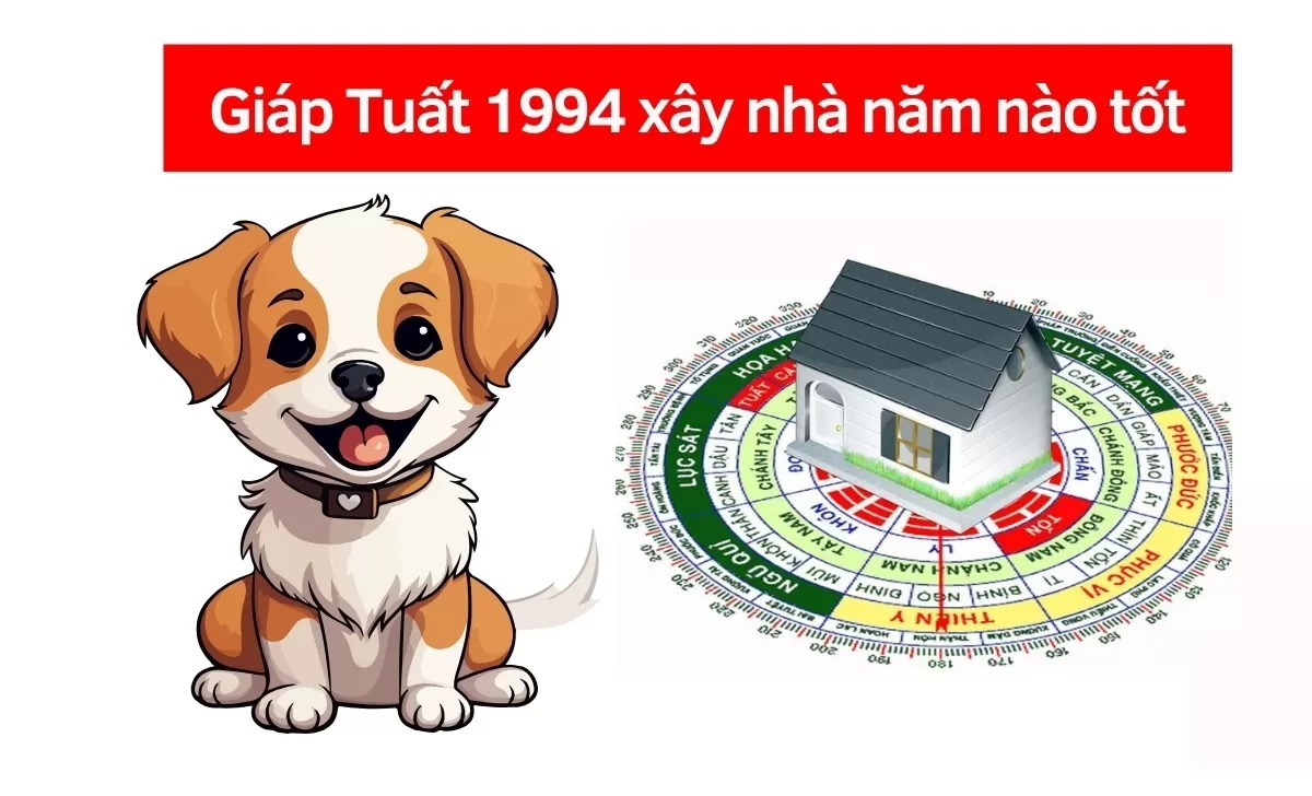 Chó đáng yêu và la bàn phong thủy cho năm Giáp Tuất 1994 xây nhà, tìm năm tốt để xây dựng.