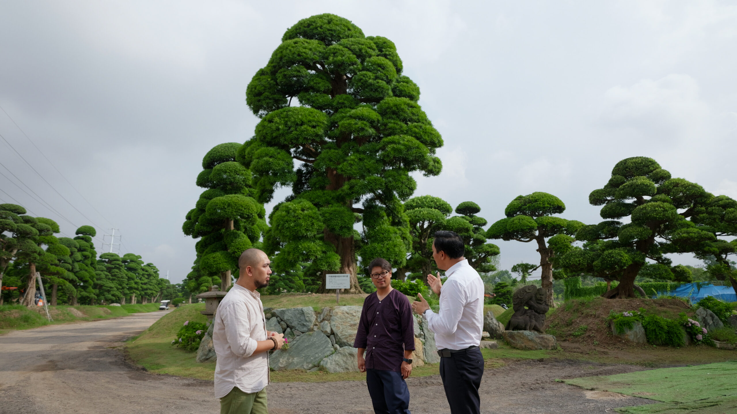 Ba người đứng thảo luận trước cây cảnh bonsai lớn trong vườn cây xanh tươi.