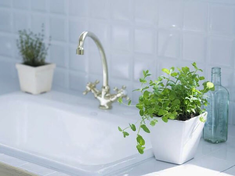 Chậu cây xanh trên bồn rửa trắng, vòi nước kim loại sáng bóng, tạo không gian bếp hiện đại và tươi mát.