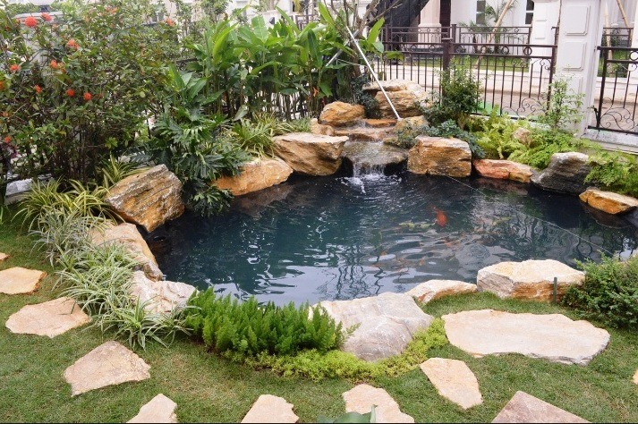 Ao cá nhỏ trong vườn với đá tự nhiên và cây xanh xung quanh, tạo cảnh quan thiên nhiên thư giãn.