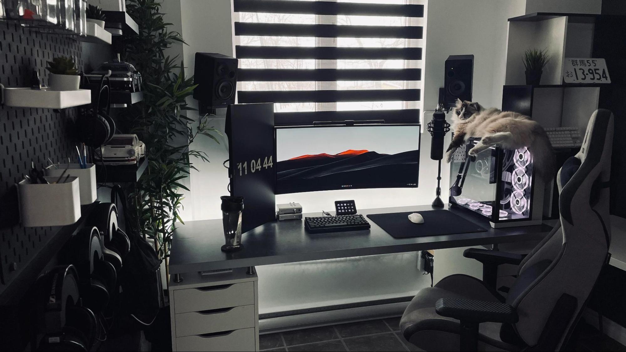 Góc làm việc tinh tế với máy tính, bàn phím, chuột cùng mèo nằm trên thùng máy tính và cây xanh điểm tô.